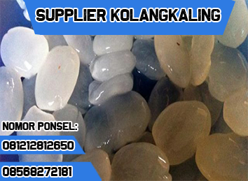 081212812650 Agen Grosir Distributor Produksi Jual Kolang Kaling Kualitas Super Standar Harga Murah